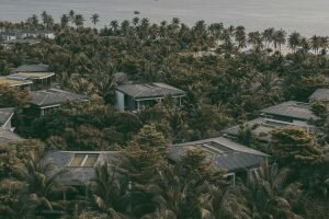 Benefits of Living in a Green Environment